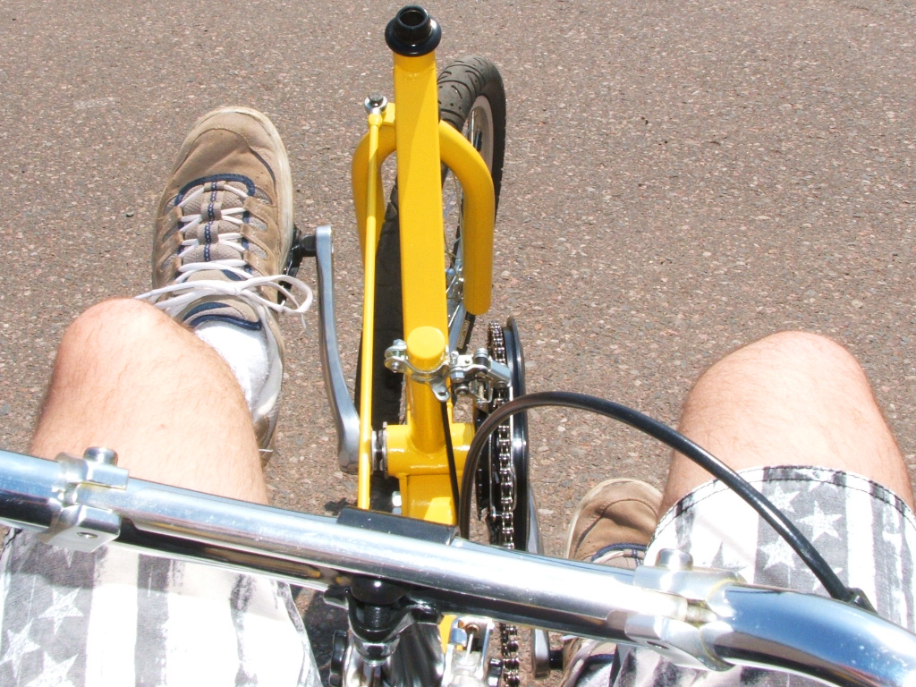 DeltaWolf Racing Trike - trike remote steering